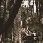 Koji-su-najbolji-proizvodi-za-ciscenje-DPF-filtra-14fd5fddc701